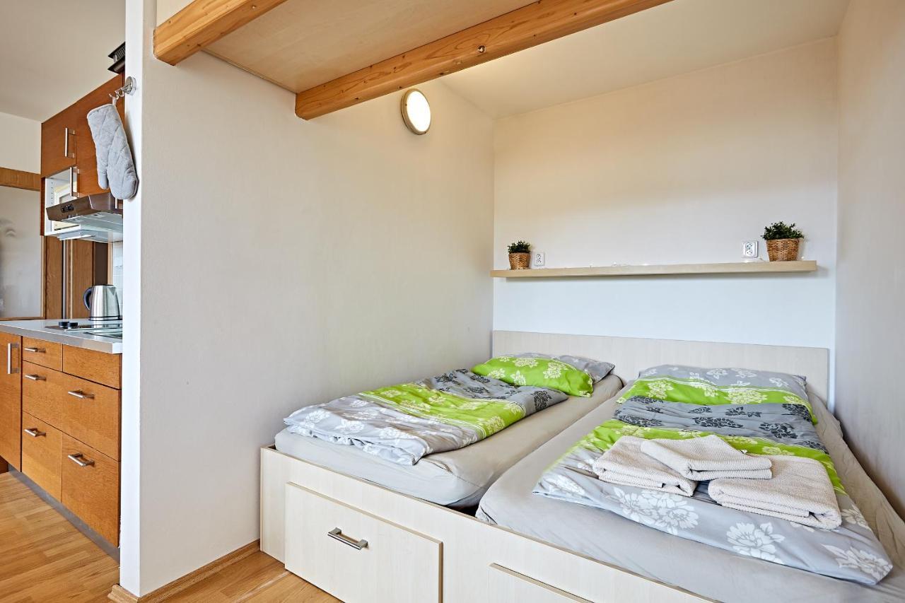 Ferienwohnung Apartman Klinovec 365 Loučná pod Klínovcem Exterior foto