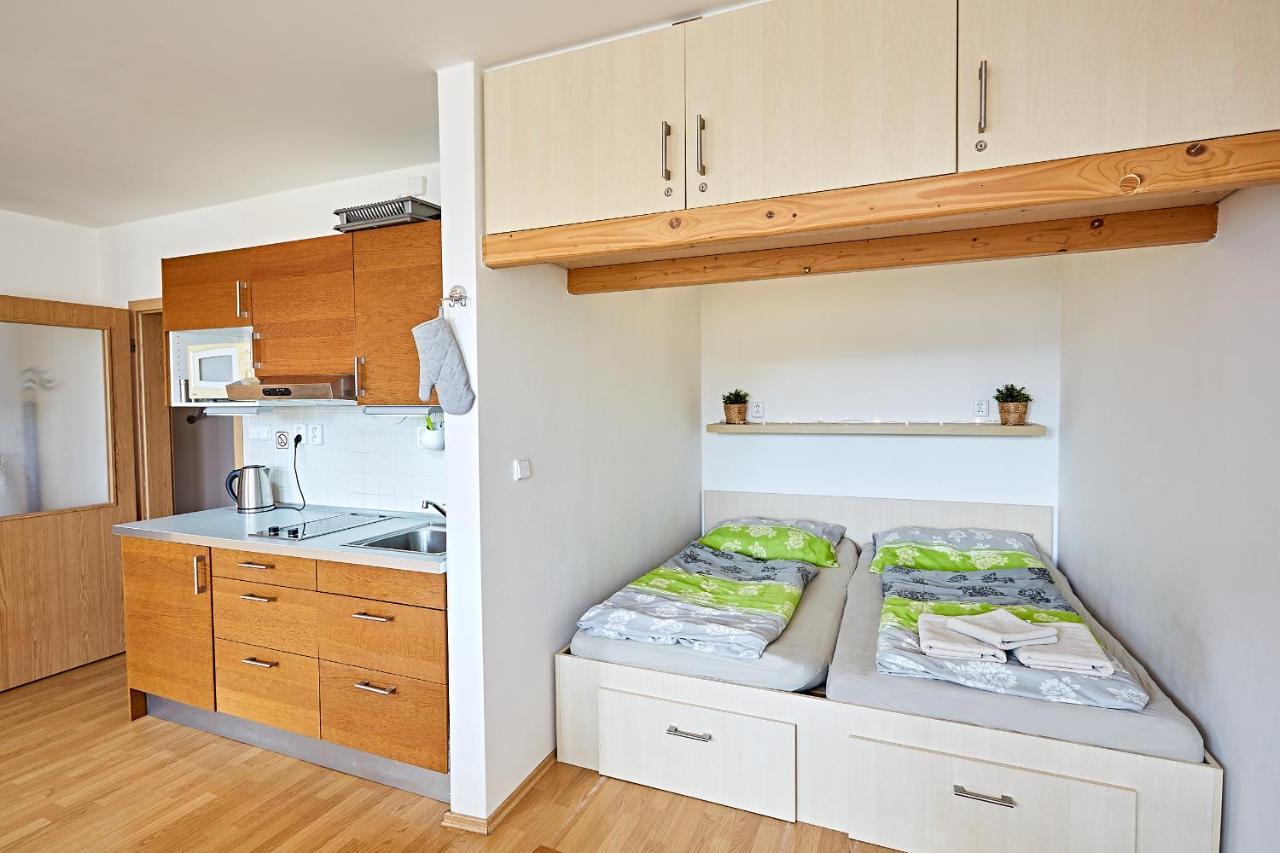 Ferienwohnung Apartman Klinovec 365 Loučná pod Klínovcem Exterior foto